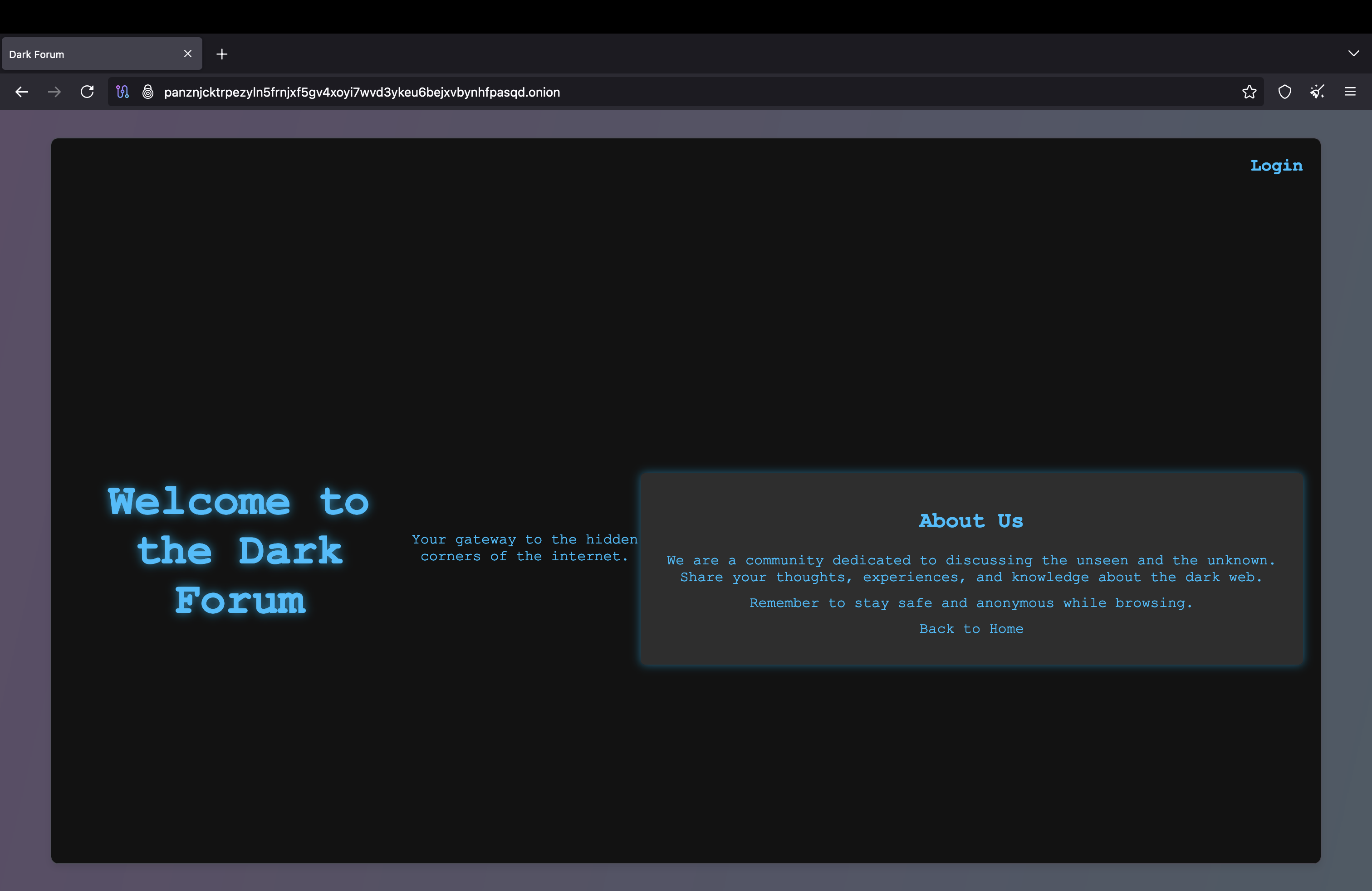 Dark Web Capstone